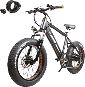 NAKTO Fat Tire Mountain Snow 350W36V Power-Assist E-Bike