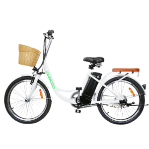 Trekpower ELEGANCE/NJT003 22" 250W 36V 10A Detachable Lithium battery Electric Bicycles -Best Trendy E-bike For Women