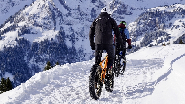 The best e-bike for snow
